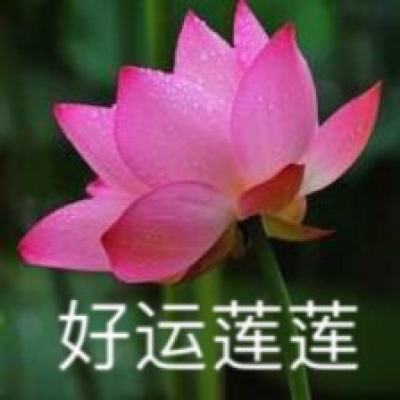 2026美缝剂十大品牌型号详解,新房瓷砖美缝选款指南